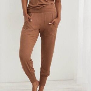 Aerie Pants